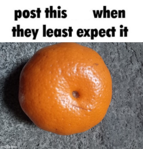 Post this orange when they least expect it | image tagged in post this when they least expect it,msmg | made w/ Imgflip meme maker