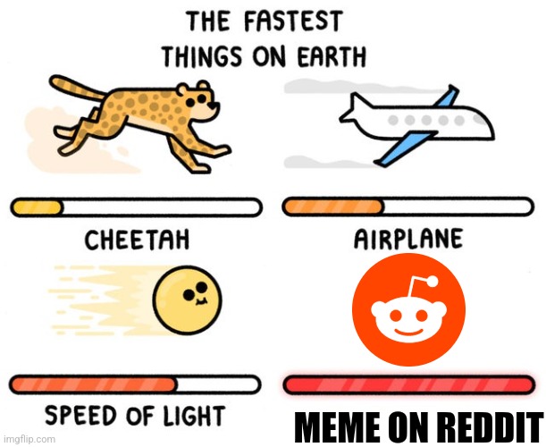 Is the fastest thinks on the internet | MEME ON REDDIT | image tagged in fastest thing possible | made w/ Imgflip meme maker