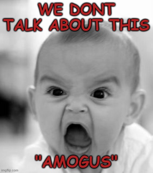 Angry Baby Meme | WE DONT TALK ABOUT THIS "AMOGUS" | image tagged in memes,angry baby | made w/ Imgflip meme maker