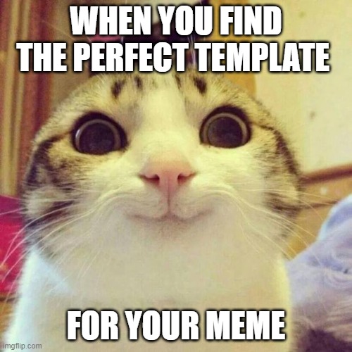 the best felling ever! | WHEN YOU FIND THE PERFECT TEMPLATE; FOR YOUR MEME | image tagged in memes,smiling cat | made w/ Imgflip meme maker