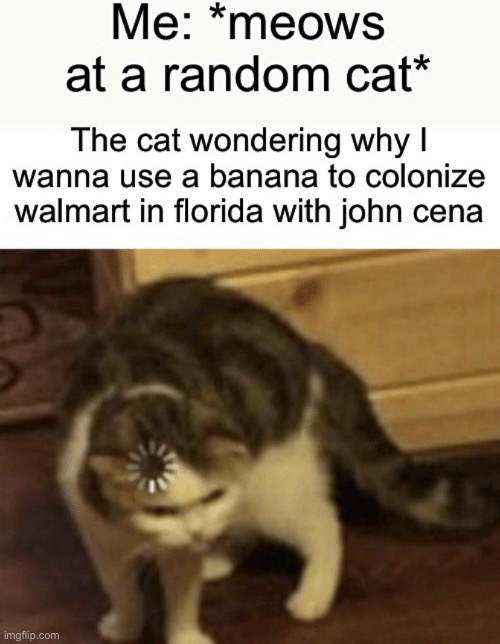 Cat | image tagged in loading cat,cats,memes,cat | made w/ Imgflip meme maker