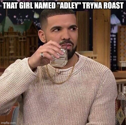 sit down. | THAT GIRL NAMED "ADLEY" TRYNA ROAST | image tagged in drake's side eye | made w/ Imgflip meme maker