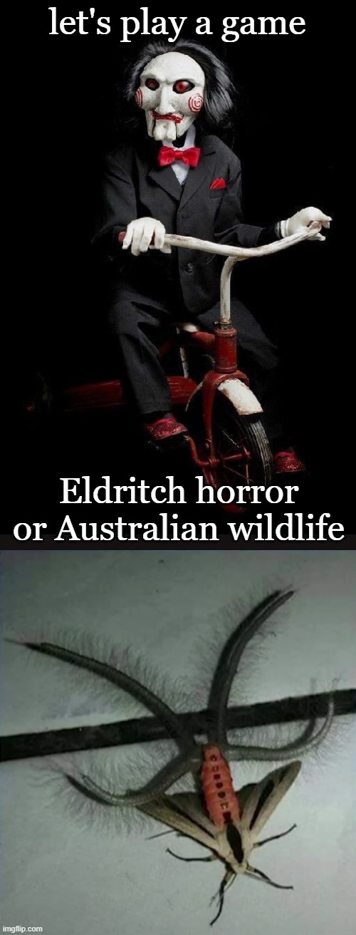 I must revive the chat | let's play a game; Eldritch horror or Australian wildlife | image tagged in lets play a game,australia | made w/ Imgflip meme maker