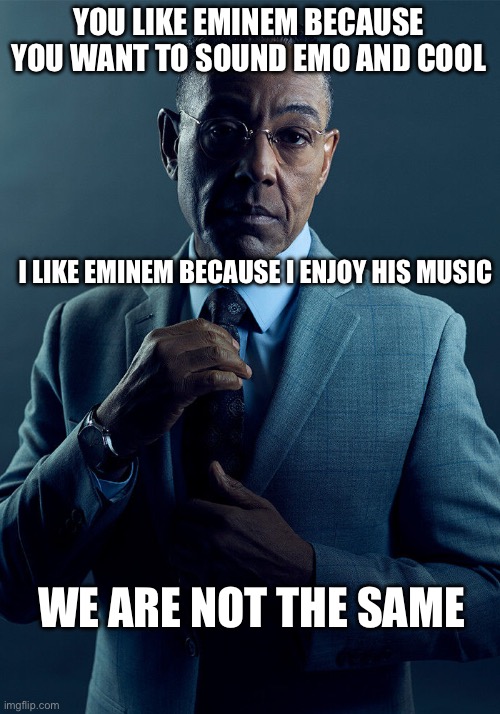 Once again, I’m dissing gen z for no reason | YOU LIKE EMINEM BECAUSE YOU WANT TO SOUND EMO AND COOL; I LIKE EMINEM BECAUSE I ENJOY HIS MUSIC; WE ARE NOT THE SAME | image tagged in gus fring we are not the same,funny,funny memes,relatable,eminem,rapper | made w/ Imgflip meme maker