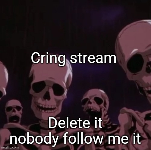 roasting skeletons | Cring stream; Delete it nobody follow me it | image tagged in roasting skeletons | made w/ Imgflip meme maker