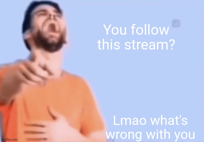 Laughing and pointing | You follow this stream? Lmao what's wrong with you | image tagged in laughing and pointing | made w/ Imgflip meme maker