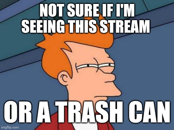 Futurama Fry | NOT SURE IF I'M SEEING THIS STREAM; OR A TRASH CAN | image tagged in memes,futurama fry | made w/ Imgflip meme maker