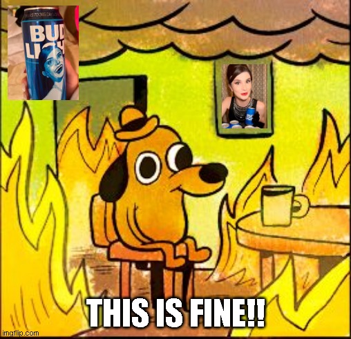 This is fine | THIS IS FINE!! | image tagged in this is fine | made w/ Imgflip meme maker