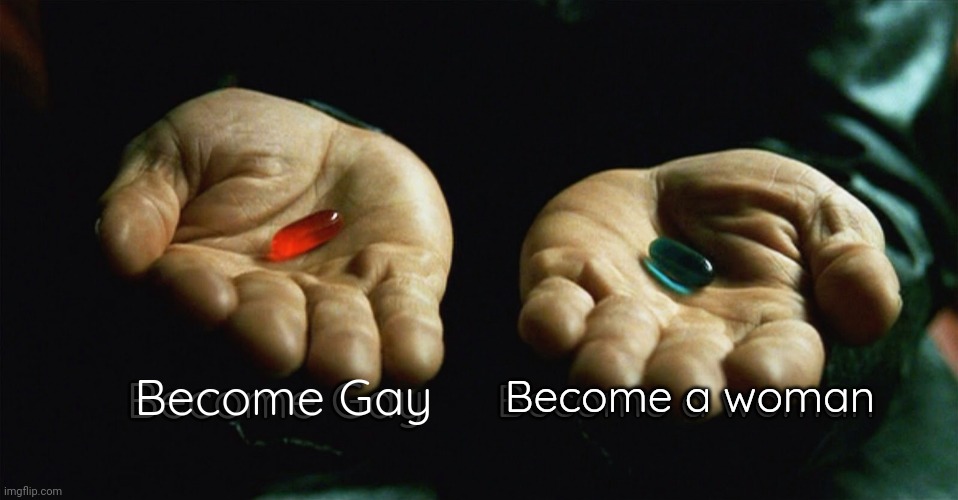 How do you lose your rights? | Become Gay; Become Gay; Become a woman; Become a woman | image tagged in red pill blue pill | made w/ Imgflip meme maker