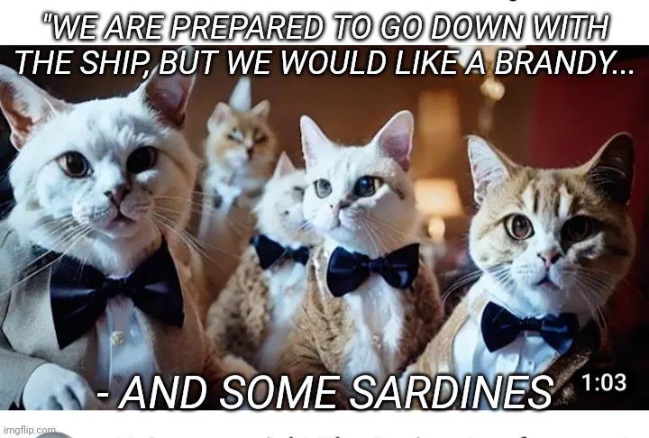 Cats of Titanic | "WE ARE PREPARED TO GO DOWN WITH THE SHIP, BUT WE WOULD LIKE A BRANDY... - AND SOME SARDINES | image tagged in cute cat,titanic | made w/ Imgflip meme maker