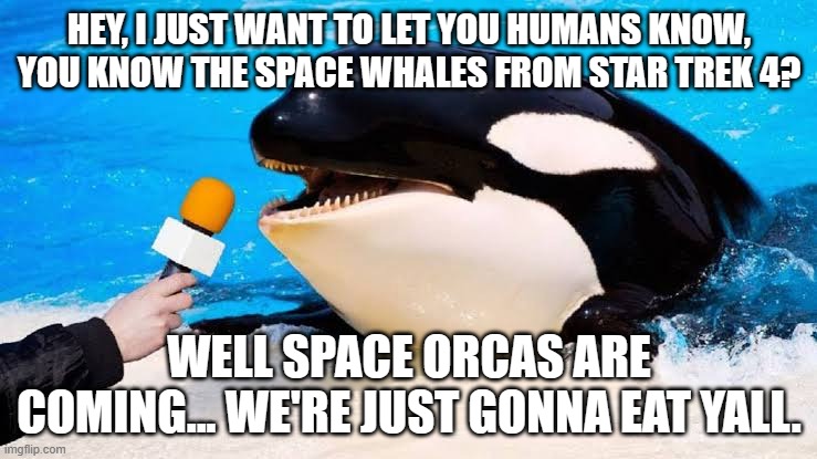 I'm surprised we didn't get these sooner, for how this year's turning out. | HEY, I JUST WANT TO LET YOU HUMANS KNOW, YOU KNOW THE SPACE WHALES FROM STAR TREK 4? WELL SPACE ORCAS ARE COMING... WE'RE JUST GONNA EAT YALL. | image tagged in orca talking into a microphone,space,hungrasion,human buffet | made w/ Imgflip meme maker