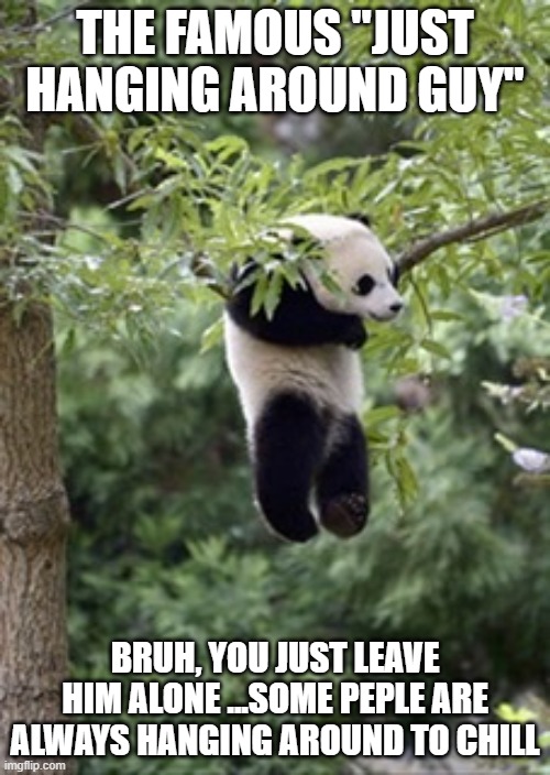 "Just hanging around" | THE FAMOUS "JUST HANGING AROUND GUY"; BRUH, YOU JUST LEAVE HIM ALONE ...SOME PEPLE ARE ALWAYS HANGING AROUND TO CHILL | image tagged in panda just hanging around | made w/ Imgflip meme maker