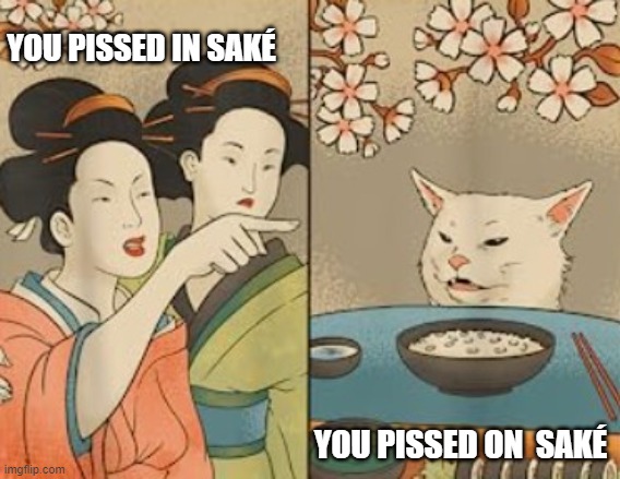 YOU PISSED IN SAKÉ; YOU PISSED ON  SAKÉ | image tagged in woman yelling at cat | made w/ Imgflip meme maker