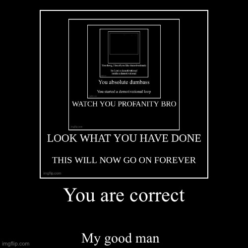 You are correct | My good man | image tagged in funny,demotivationals | made w/ Imgflip demotivational maker