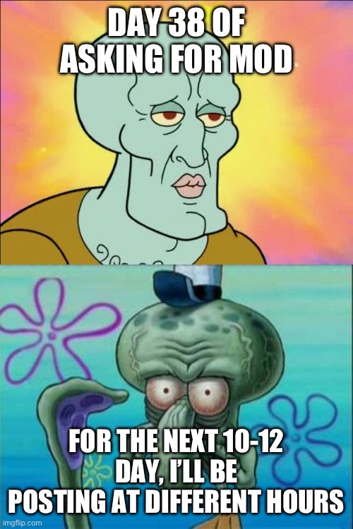 Squidward | DAY 38 OF ASKING FOR MOD; FOR THE NEXT 10-12 DAY, I’LL BE POSTING AT DIFFERENT HOURS | image tagged in memes,squidward | made w/ Imgflip meme maker