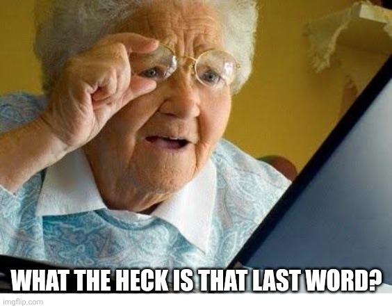 old lady at computer | WHAT THE HECK IS THAT LAST WORD? | image tagged in old lady at computer | made w/ Imgflip meme maker
