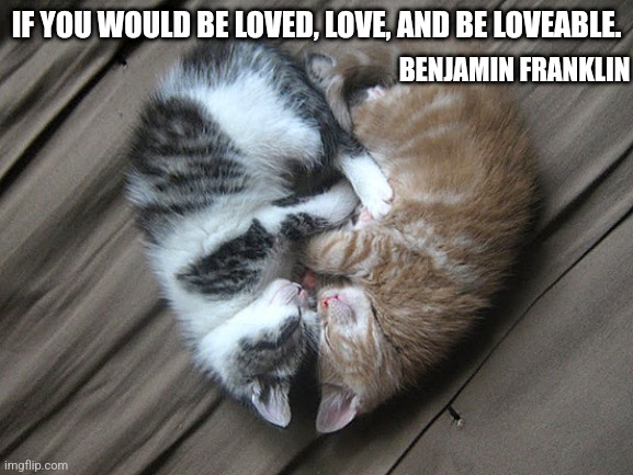 Love and be loveable | IF YOU WOULD BE LOVED, LOVE, AND BE LOVEABLE. BENJAMIN FRANKLIN | image tagged in love,quotes | made w/ Imgflip meme maker