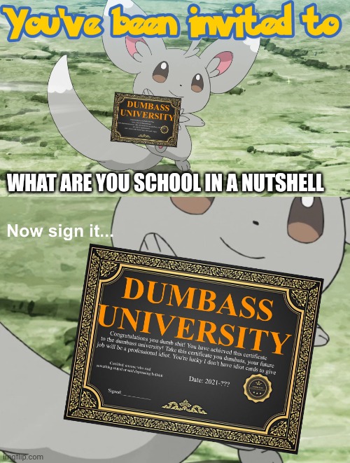You've been invited to dumbass university | WHAT ARE YOU SCHOOL IN A NUTSHELL | image tagged in you've been invited to dumbass university | made w/ Imgflip meme maker