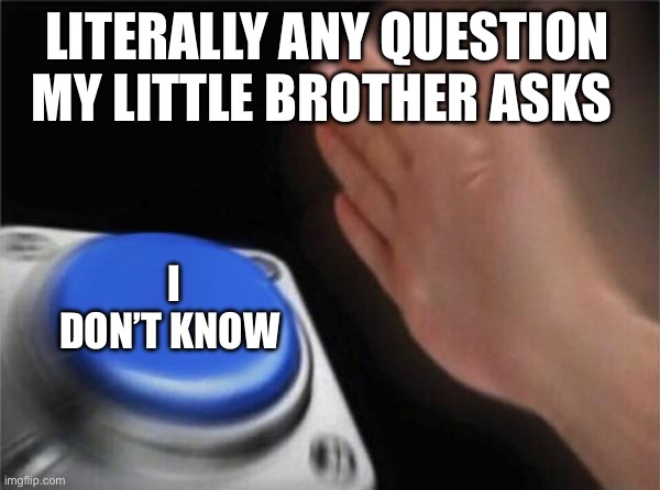 Blank Nut Button | LITERALLY ANY QUESTION MY LITTLE BROTHER ASKS; I DON’T KNOW | image tagged in memes,blank nut button | made w/ Imgflip meme maker