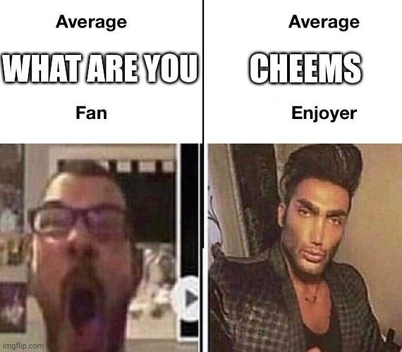 Average Fan vs. Average Enjoyer | CHEEMS; WHAT ARE YOU | image tagged in average fan vs average enjoyer | made w/ Imgflip meme maker