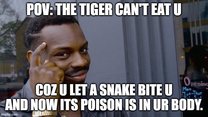 inf iq be like | POV: THE TIGER CAN'T EAT U; COZ U LET A SNAKE BITE U AND NOW ITS POISON IS IN UR BODY. | image tagged in memes,roll safe think about it | made w/ Imgflip meme maker