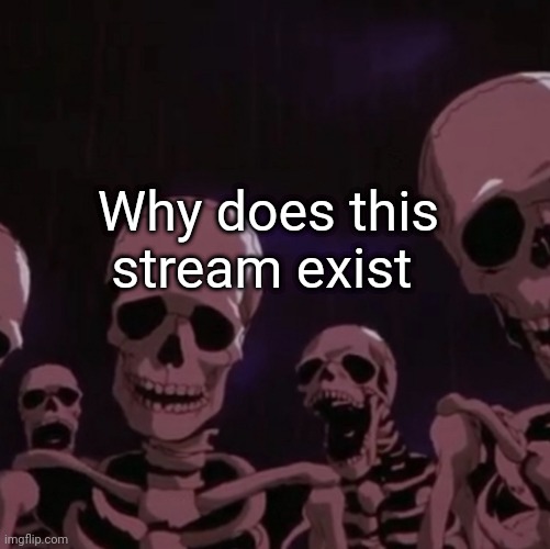 roasting skeletons | Why does this stream exist | image tagged in roasting skeletons | made w/ Imgflip meme maker