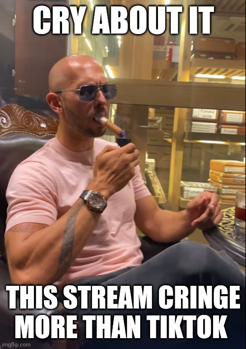 Cry About It | CRY ABOUT IT; THIS STREAM CRINGE MORE THAN TIKTOK | image tagged in cry about it | made w/ Imgflip meme maker