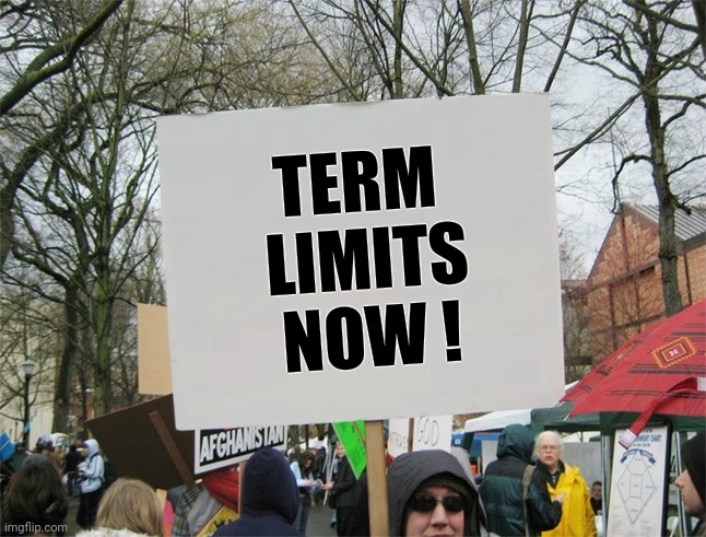 Blank protest sign | TERM
 LIMITS
 NOW ! | image tagged in blank protest sign | made w/ Imgflip meme maker