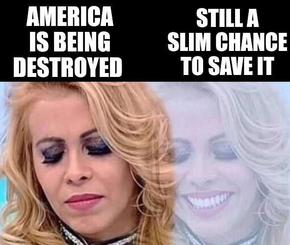 STILL A SLIM CHANCE TO SAVE IT; AMERICA IS BEING DESTROYED | made w/ Imgflip meme maker