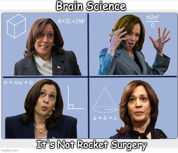 Brain Science; It's Not Rocket Surgery | image tagged in kamala,confused math lady | made w/ Imgflip meme maker