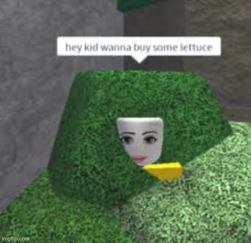 hey kid wanna buy some lettuce Blank Meme Template