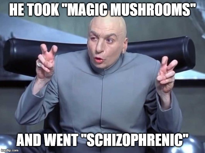 Dr Evil air quotes | HE TOOK "MAGIC MUSHROOMS"; AND WENT "SCHIZOPHRENIC" | image tagged in dr evil air quotes | made w/ Imgflip meme maker