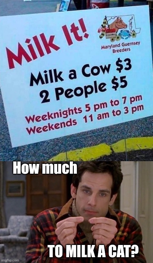 Milkin' it | How much; TO MILK A CAT? | image tagged in cat milk,cow,milk,people,i can milk you,ben stiller | made w/ Imgflip meme maker