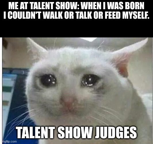 crying cat | ME AT TALENT SHOW: WHEN I WAS BORN I COULDN'T WALK OR TALK OR FEED MYSELF. TALENT SHOW JUDGES | image tagged in crying cat | made w/ Imgflip meme maker