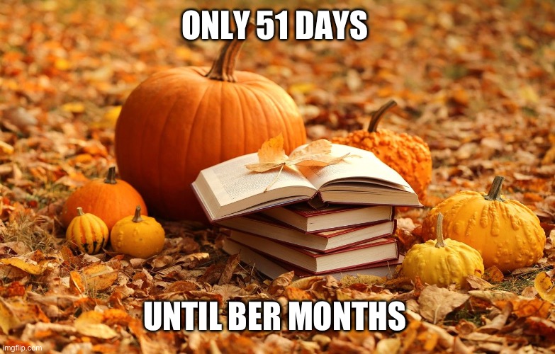 Only 51 days until Ber Months | ONLY 51 DAYS; UNTIL BER MONTHS | image tagged in autumn leaves | made w/ Imgflip meme maker