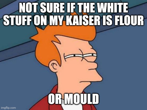 When the rolls you buy are now a couple days old. | NOT SURE IF THE WHITE STUFF ON MY KAISER IS FLOUR; OR MOULD | image tagged in memes,futurama fry,sandwich | made w/ Imgflip meme maker