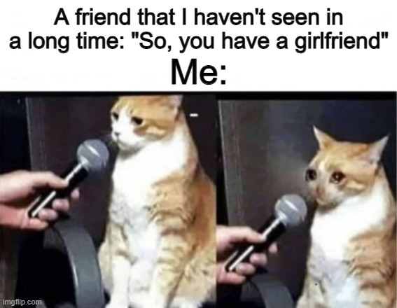 Doesn't apply to me, but I know a lot of you can relate :] | A friend that I haven't seen in a long time: "So, you have a girlfriend"; Me: | image tagged in crying cat interview horizontal | made w/ Imgflip meme maker