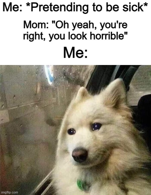 EMOTIONAL DAMAGE X_X | Me: *Pretending to be sick*; Mom: "Oh yeah, you're right, you look horrible"; Me: | image tagged in crying dog | made w/ Imgflip meme maker