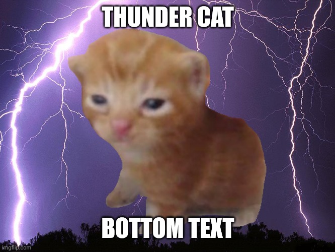 THUNDER CAT BOTTOM TEXT | made w/ Imgflip meme maker
