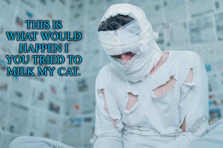 THIS IS WHAT WOULD HAPPEN I YOU TRIED TO MILK MY CAT. | made w/ Imgflip meme maker