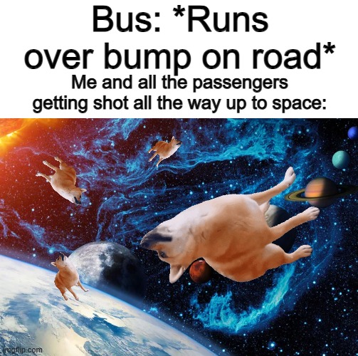 IT'S TRUE | Bus: *Runs over bump on road*; Me and all the passengers getting shot all the way up to space: | image tagged in dog astronaut in space | made w/ Imgflip meme maker