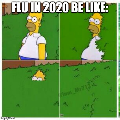 Homer hides | FLU IN 2020 BE LIKE: | image tagged in homer hides | made w/ Imgflip meme maker