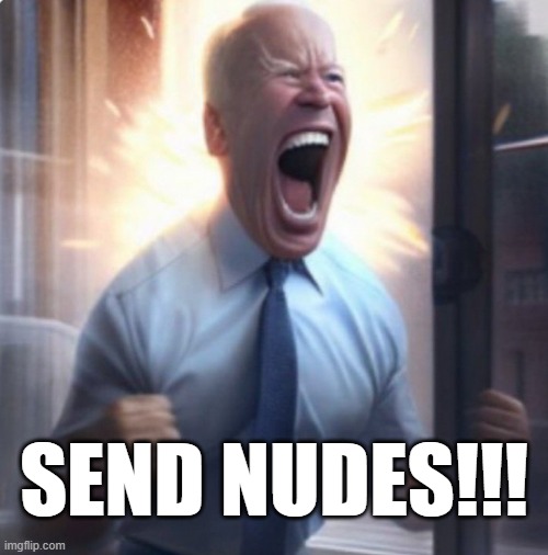Biden Lets Go | SEND NUDES!!! | image tagged in biden lets go | made w/ Imgflip meme maker