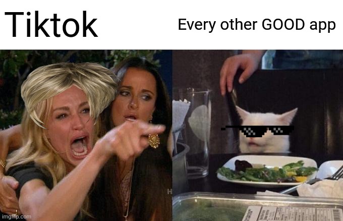 Woman Yelling At Cat | Tiktok; Every other GOOD app | image tagged in memes,woman yelling at cat | made w/ Imgflip meme maker