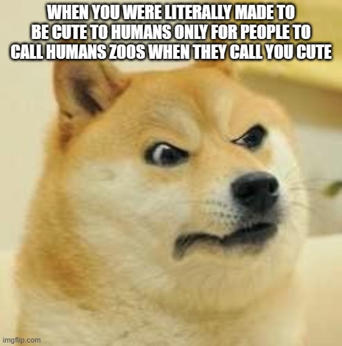 there is a huge diff between thinking dogs are cute and zoos | WHEN YOU WERE LITERALLY MADE TO BE CUTE TO HUMANS ONLY FOR PEOPLE TO CALL HUMANS ZOOS WHEN THEY CALL YOU CUTE | image tagged in angry doge | made w/ Imgflip meme maker