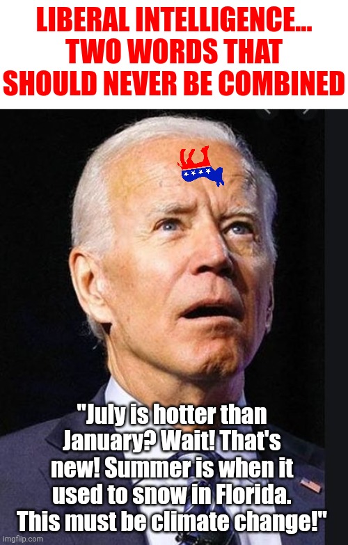 Liberals, unlike Joe, the rest of us have NOT forgotten the planet has seasons. Or that summer happens every year. | LIBERAL INTELLIGENCE... TWO WORDS THAT SHOULD NEVER BE COMBINED; "July is hotter than January? Wait! That's new! Summer is when it used to snow in Florida. This must be climate change!" | image tagged in confused biden,dementia,seasons,expectation vs reality,liberal logic,summer time | made w/ Imgflip meme maker