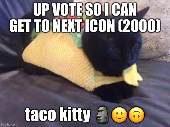 also if u comment I follow | UP VOTE SO I CAN GET TO NEXT ICON (2000); taco kitty 🗿🙂🙃 | image tagged in taco cat | made w/ Imgflip meme maker