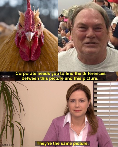 image tagged in angry chicken,i'd rather be russian,memes,they're the same picture | made w/ Imgflip meme maker