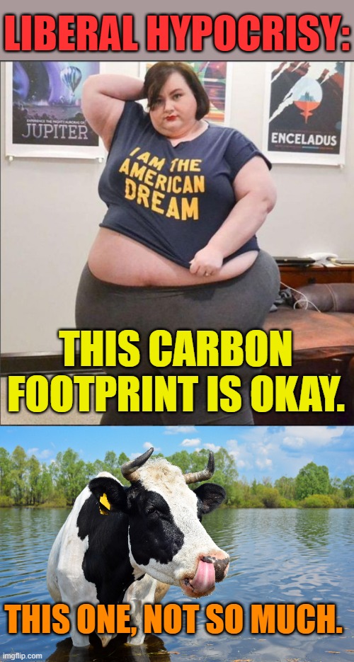 Cows don't virtue signal. | LIBERAL HYPOCRISY:; THIS CARBON FOOTPRINT IS OKAY. THIS ONE, NOT SO MUCH. | made w/ Imgflip meme maker