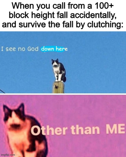It feels 10x better than falling and clutching on purpose ^-^ | When you call from a 100+ block height fall accidentally, and survive the fall by clutching:; down here | image tagged in hail pole cat | made w/ Imgflip meme maker